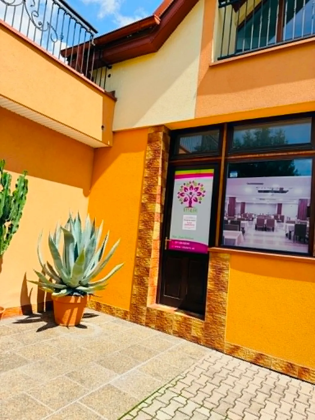 FYZIOfito – fotografia 1